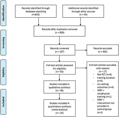 Long-Term Effects of Whole-Body Vibration on Human Gait: A Systematic Review and Meta-Analysis